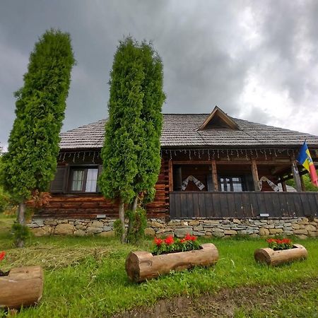 BorşaCasuta Lu' Liviu别墅 外观 照片