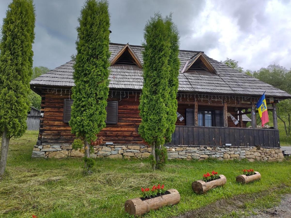 BorşaCasuta Lu' Liviu别墅 外观 照片